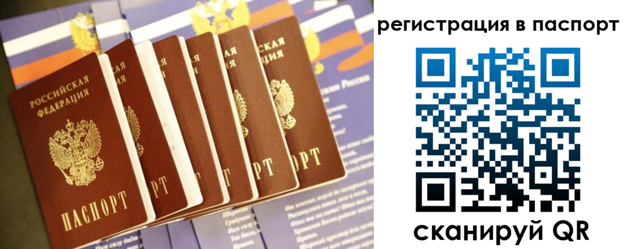 прописка в Волгограде